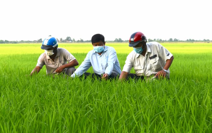 Hỗ trợ tận tâm, đồng hành dài lâu