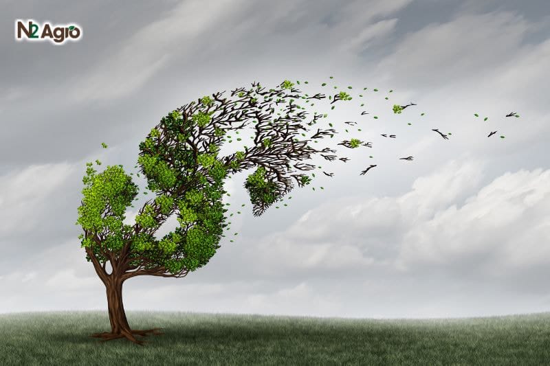 Bí quyết làm tăng tỷ lệ đậu trái cho cây trồng Bí quyết làm tăng tỷ lệ đậu trái cho cây trồng