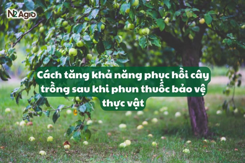 Cách tăng khả năng phục hồi cây trồng sau khi phun thuốc bảo vệ thực vật-N2 Agro