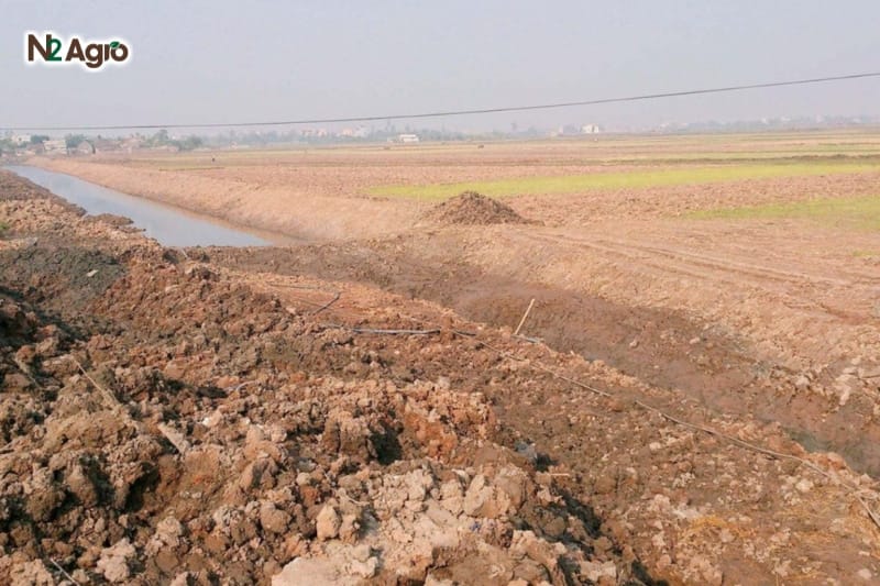 Bí quyết cải tạo đất bị ngộ độc phèn, ngộ độc hữu cơ Bí quyết cải tạo đất bị ngộ độc phèn, ngộ độc hữu cơ N2 Agro