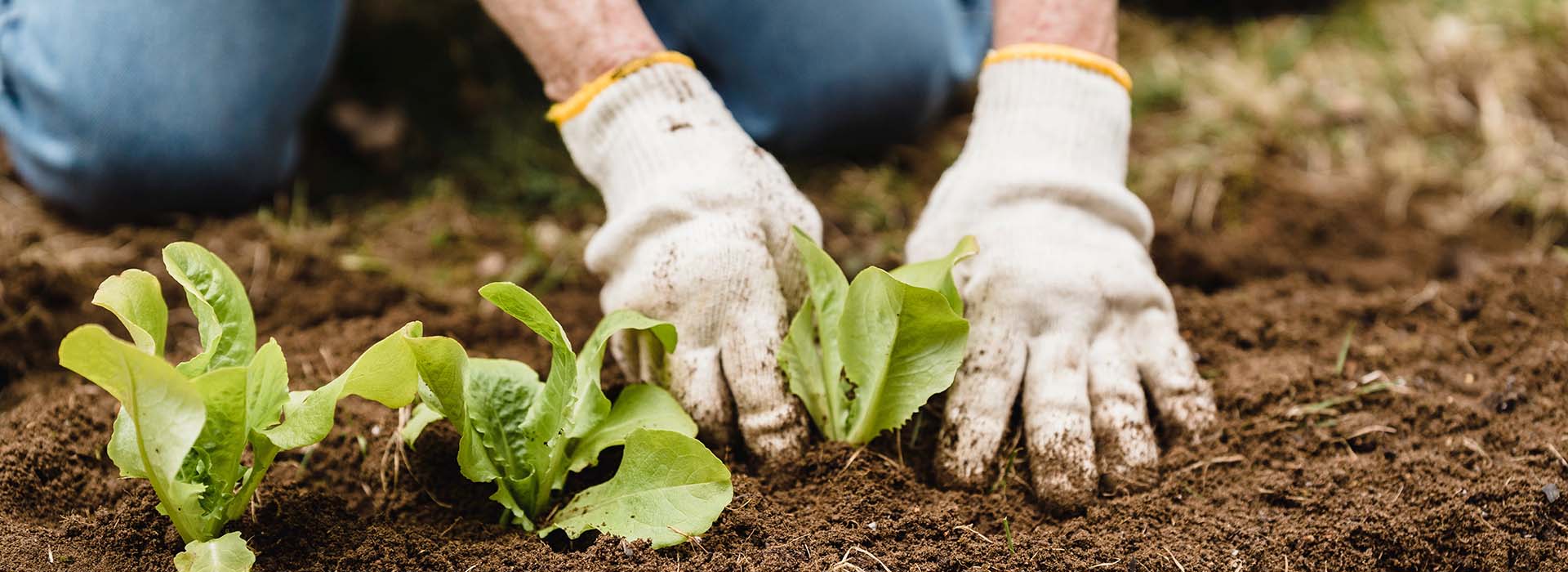 Cùng N2 Agro biến mọi thách thức thành cơ hội