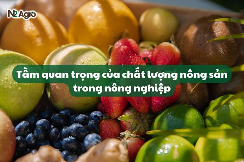 chat-luong-nong-san