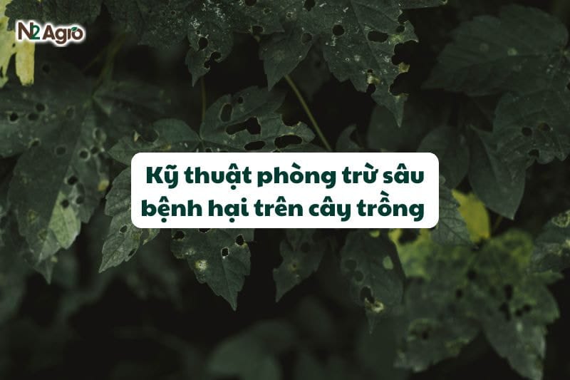 Kỹ thuật phòng trừ sâu bệnh hại trên cây trồng 
