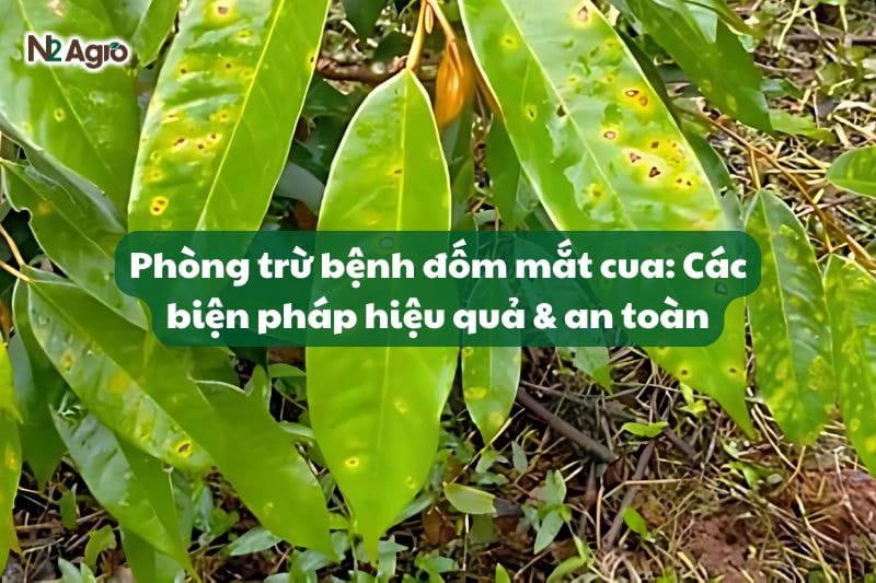 Phòng Trừ Bệnh Đốm Mắt Cua: Các Biện Pháp Hiệu Quả & An Toàn-N2 Agro