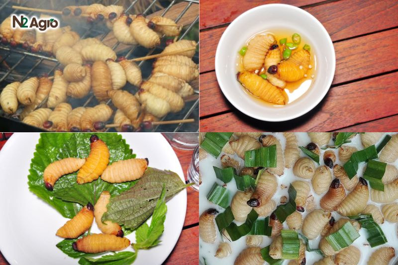 Đuông dừa – Kẻ thù của nhà vườn hay Đặc sản độc lạ? Đuông dừa - Kẻ thù của nhà vườn hay Đặc sản độc lạ?
