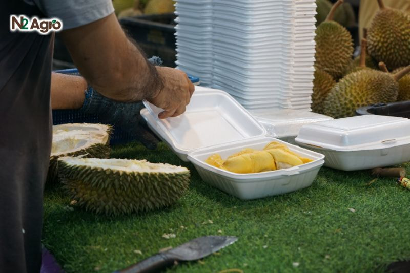 Kỹ thuật bảo quản sầu riêng để giữ chất lượng và giá trị kinh tế cao Kỹ thuật bảo quản sầu riêng sử dụng hộp lưu trữ giữ cho sầu riêng tươi lâu hơn