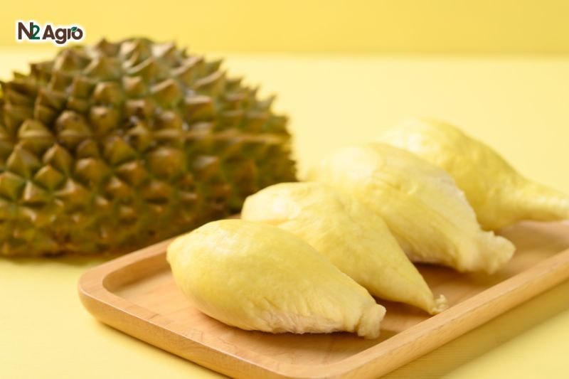 Sầu riêng Monthong - Giống sầu riêng Thái Lan chất lượng cao 