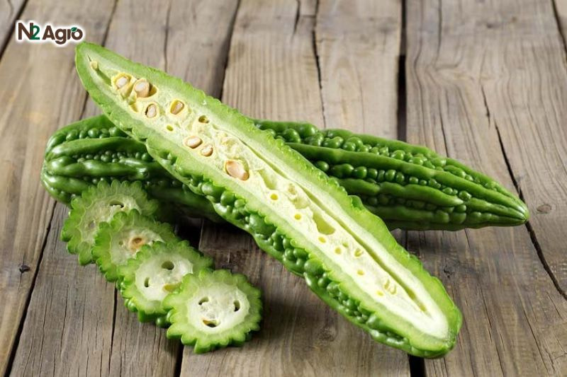 Tổng quan về cây Khổ Qua Tìm hiểu về đặc điểm hình thái của cây Khổ Qua