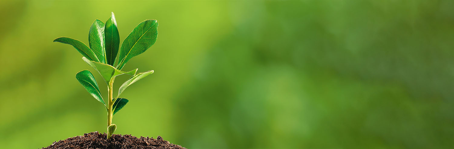 Tin Tức và Kiến Thức Nông Nghiệp