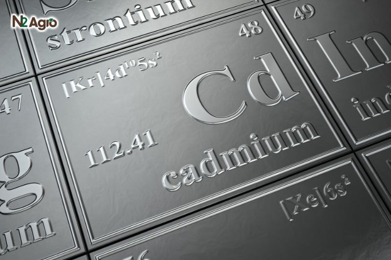 Cadimi – Nỗi lo nguy cơ tiềm ẩn trong nông sản cadimi noi lo nguy co tiem an trong nong san (2) N2 Agro