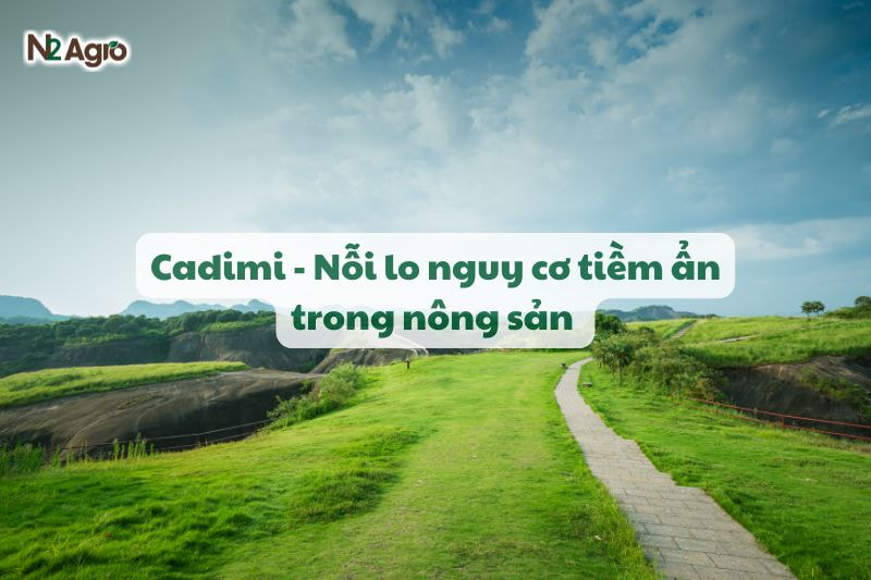 cadimi noi lo nguy co tiem an trong nong san N2 Agro