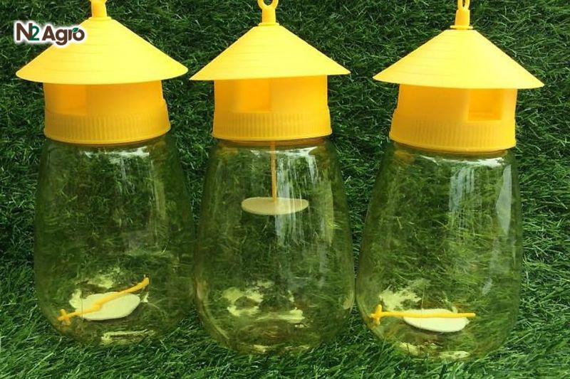 Sâu đục quả khổ qua: Đặc điểm và biện pháp phòng trừ hiệu quả Dùng bẫy đèn để hạn chế bướm đẻ trứng