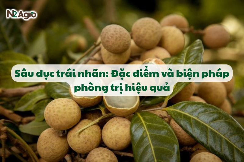 sau duc trai nhan va bien phap phong tru
