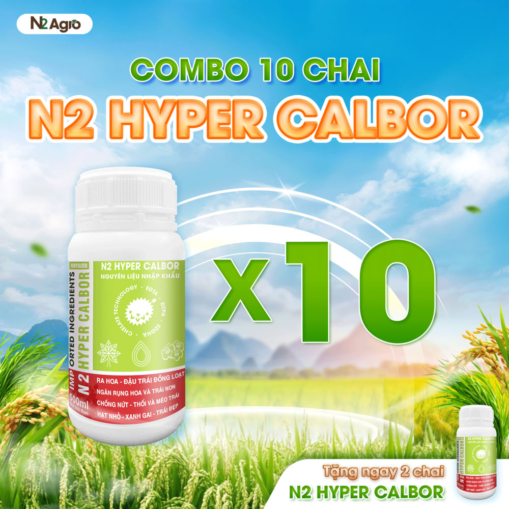 10 CHAI N2 HYPER CALBOR 500ML