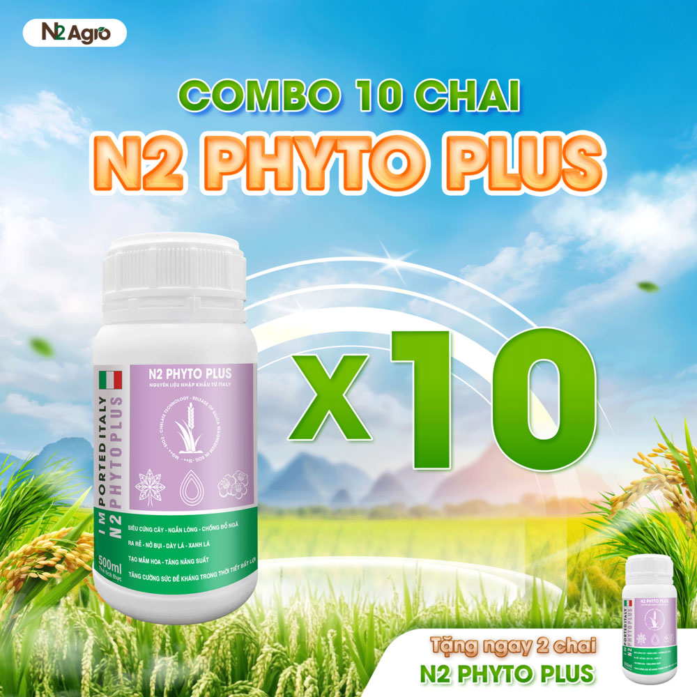 10 CHAI N2 PHYTO PLUS NHẬP KHẨU TỪ ITALY 500ML
