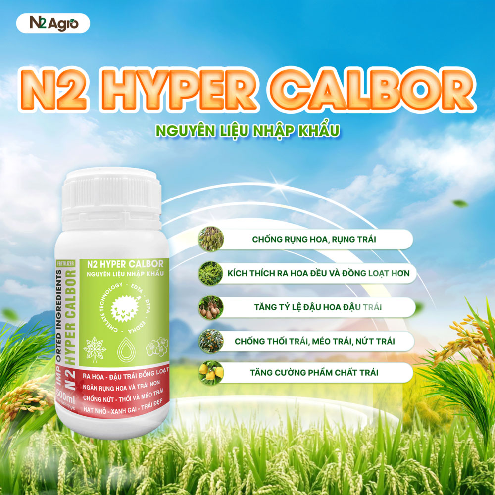 N2 HYPER CALBOR 500ML 2