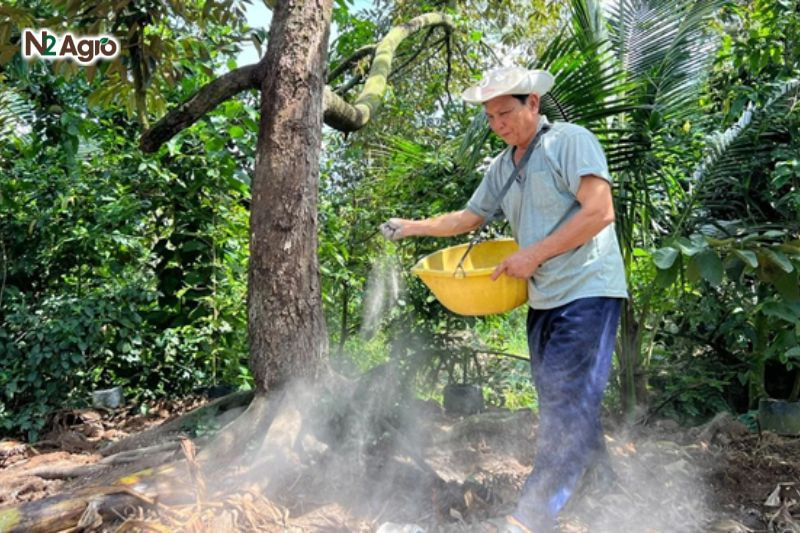 Bệnh nứt thân xì mủ sầu riêng: Biện pháp phòng trừ hiệu quả cho vụ mùa Bón phân NPK 15-15-15 (2-3 kg/cây), bổ sung canxi, kali, giữ pH đất 5,5-6,5 hiện nay.