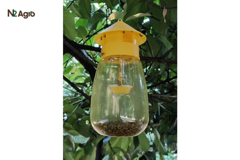 Sâu hại cành sầu riêng: Biện pháp phòng trừ hiệu quả cho vụ mùa Dùng bẫy đèn (1-2 bẫy/1000 m²) vào mùa mưa để bắt xén tóc, mọt trưởng thành hiệu quả hơn.