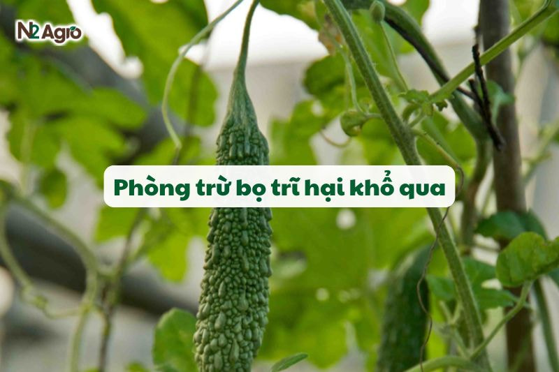 bo tri hai kho qua n2 agro