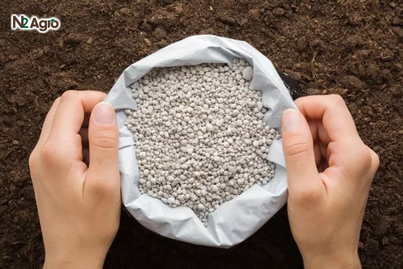 Kỹ thuật xử lý đất trồng bí đỏ: Bí quyết cho vụ mùa năng suất Trộn đều phân với đất trước khi trồng tăng độ phì nhiêu và sức đề kháng cho cây.